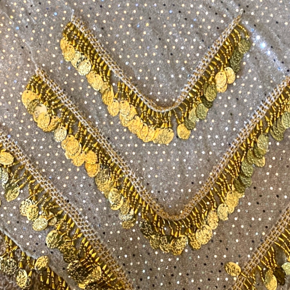 BELLY DANCING COIN BELT Heavy with coins, EUC skirt overlay - Picture 2 of 3